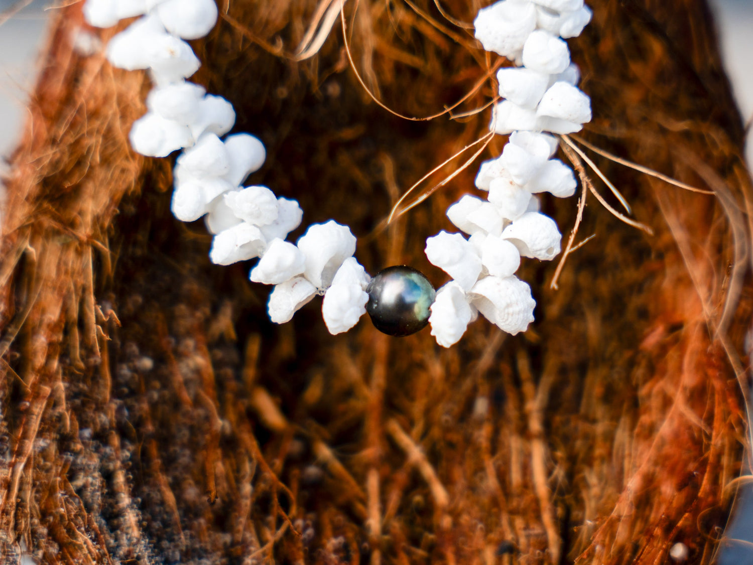 Brut - La beauté sans filtre