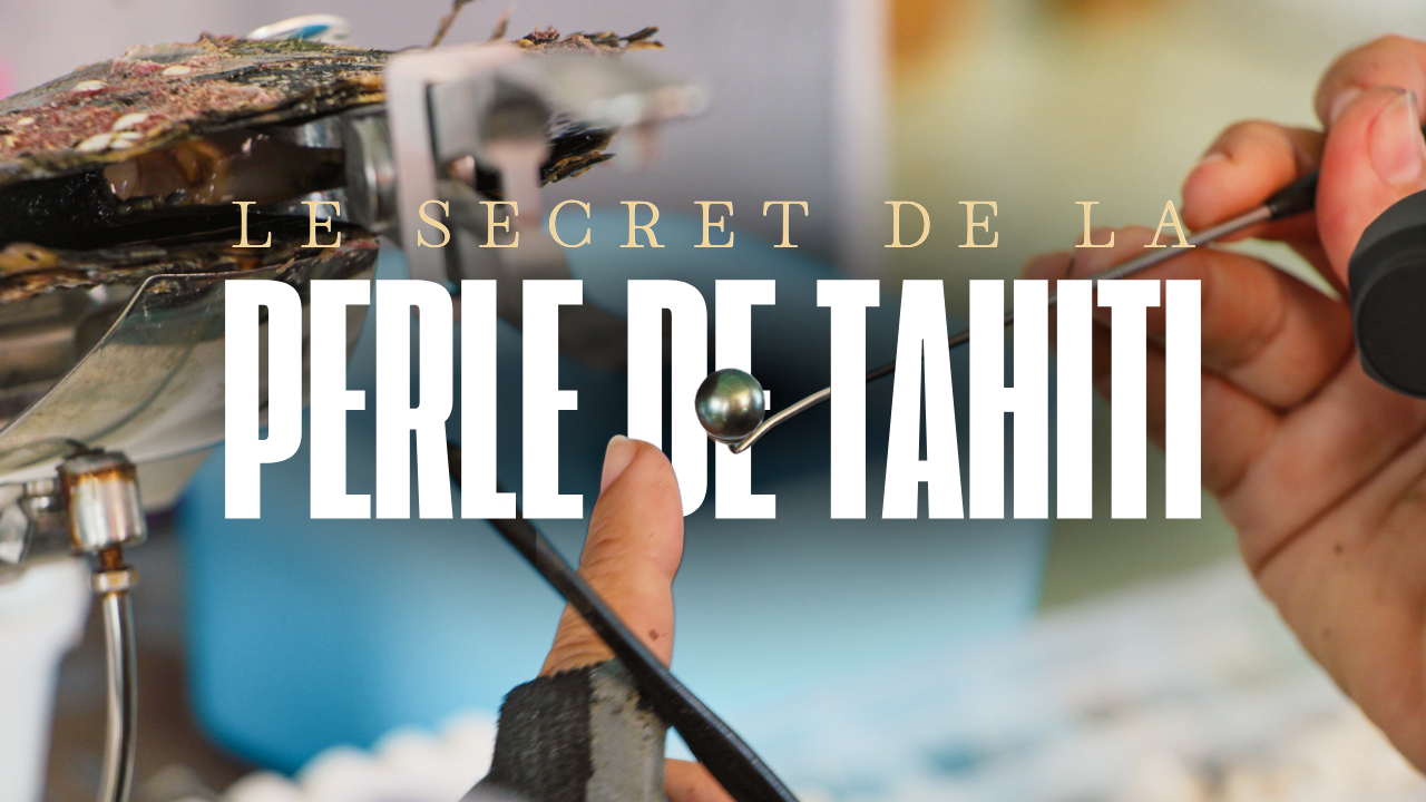 Charger la vidéo : 